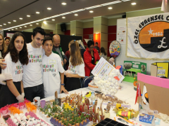 Evrensel Kolej
